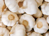 Pure White Garlic