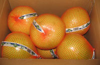 Honey Pomelo