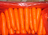 Carrot