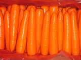 Carrot