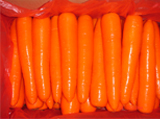 Fresh Carrot