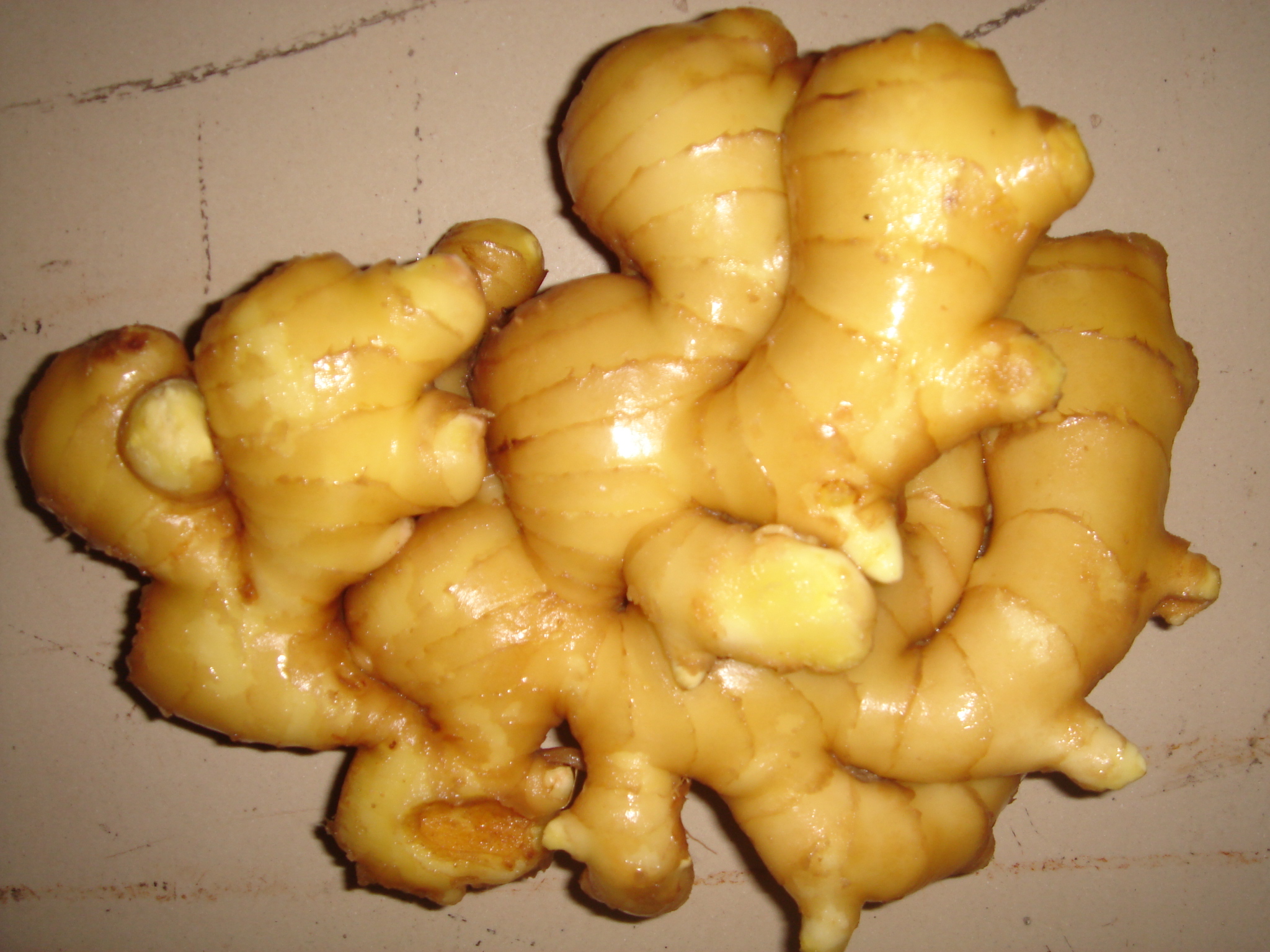 Fresh Ginger With Wet Skin