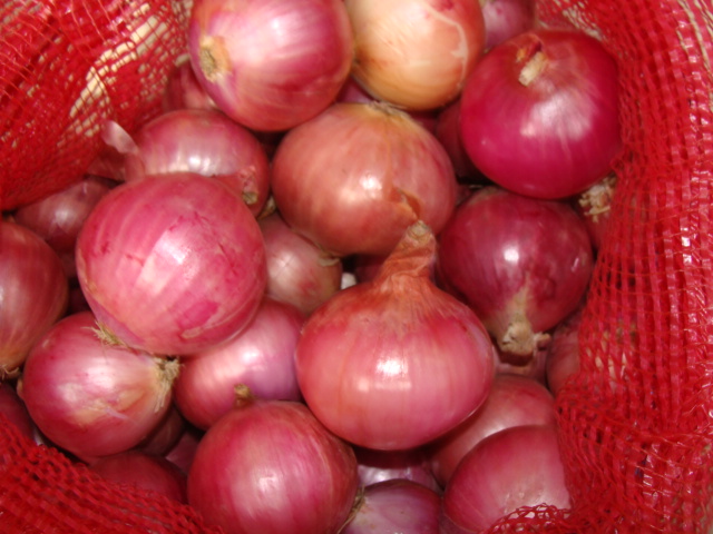 Red Onion