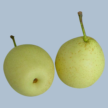 Ya Pear