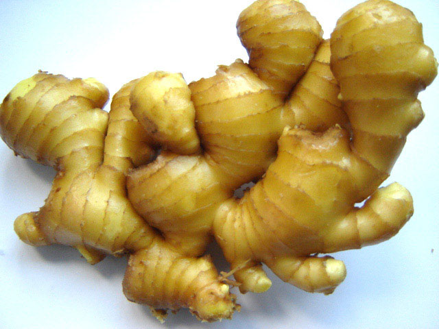 Fresh Ginger With Wet Skin